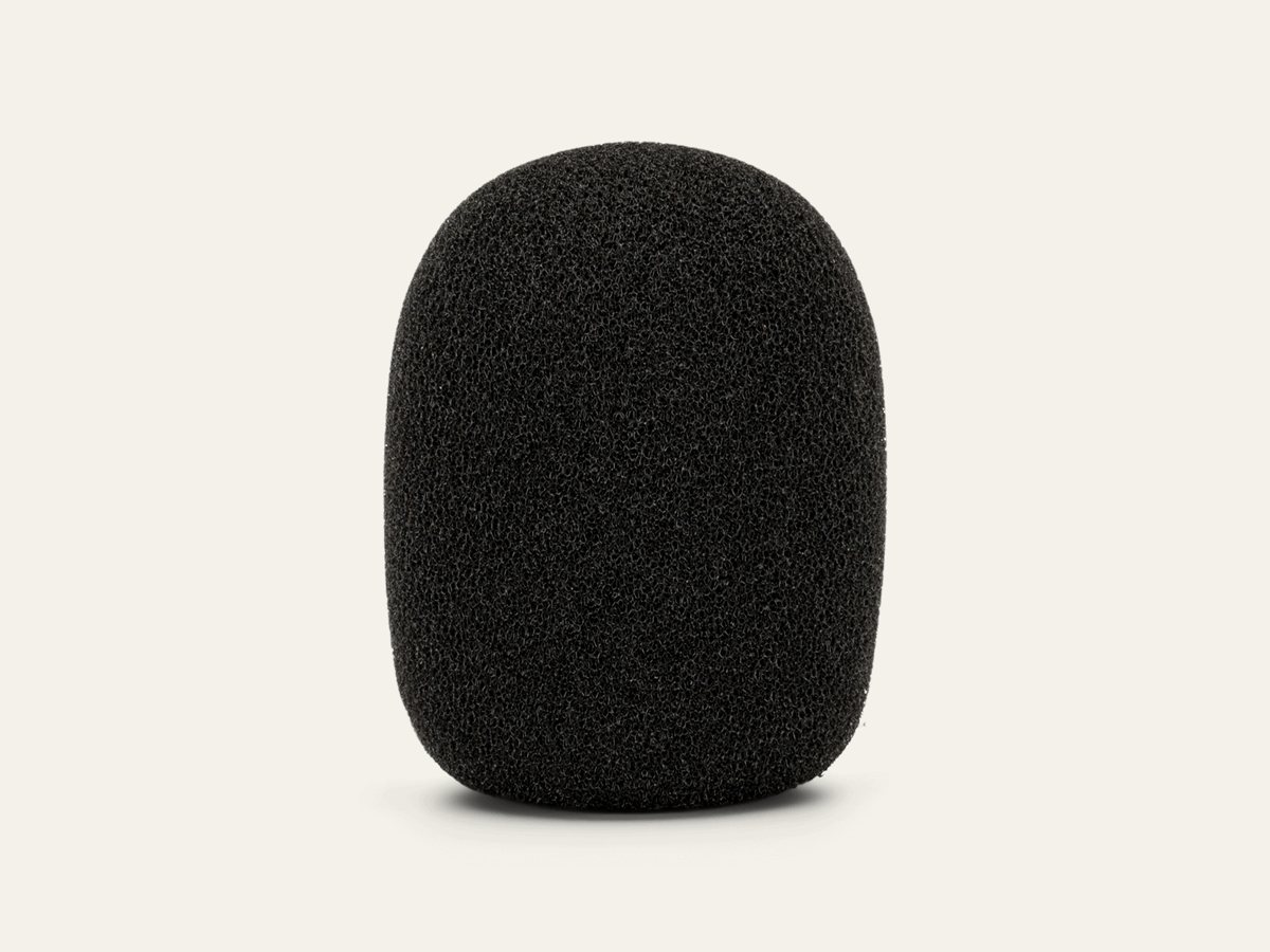 RØDE WS2 windshield